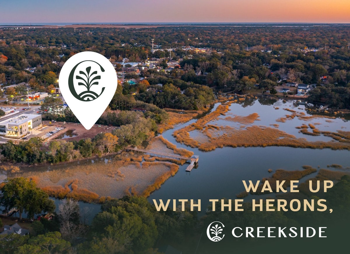 Wake upwith the herons, Creekside.